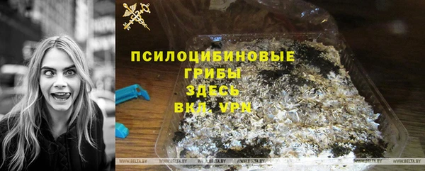метамфетамин Ельня