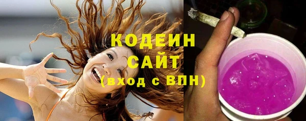 спайс Аша