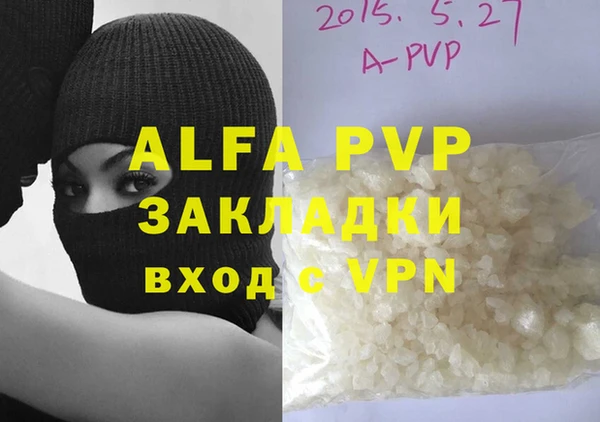 спайс Аша