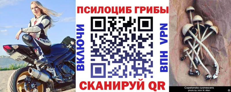 Галлюциногенные грибы Psilocybine cubensis  наркота  Иннополис 